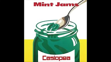 Casiopea-Mint Jams